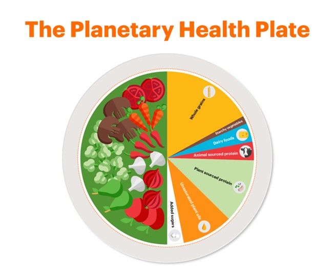 A plate with a diagram of food

Description automatically generated